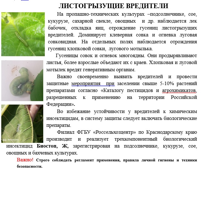 190723.jpg
